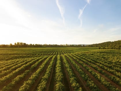 Farm property aerial view